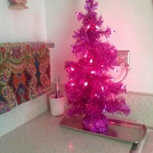 Looking pretty in the Powder Room!